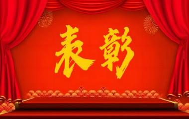 “兩優(yōu)一先”風(fēng)采|遠(yuǎn)東電纜（宜賓）載譽(yù)歸來