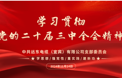 守正創(chuàng)新 踔厲奮發(fā)｜遠(yuǎn)東電纜（宜賓）開(kāi)展學(xué)習(xí)貫徹黨的二十屆三中全會(huì)精神主題黨日活動(dòng)