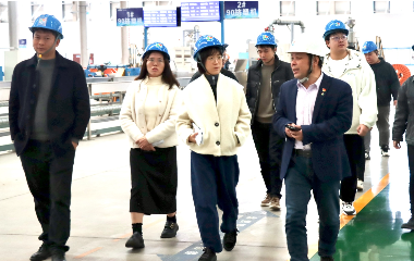 宜賓市經(jīng)合新產(chǎn)局領(lǐng)導(dǎo)來(lái)訪遠(yuǎn)東電纜（宜賓）