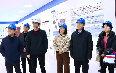 陽光電源股份、宜賓智能制造行業(yè)協(xié)會、宜賓安徽商會調(diào)研遠(yuǎn)東電纜（宜賓）