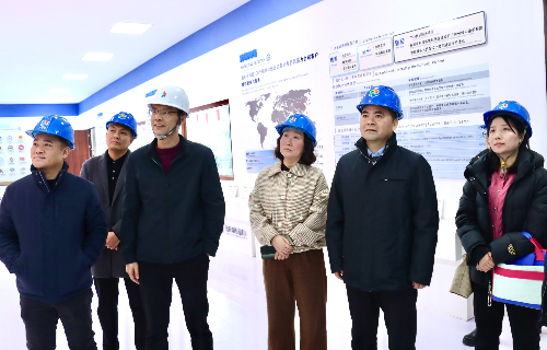 陽(yáng)光電源股份、宜賓智能制造行業(yè)協(xié)會(huì)、宜賓安徽商會(huì)調(diào)研遠(yuǎn)東電纜（宜賓）