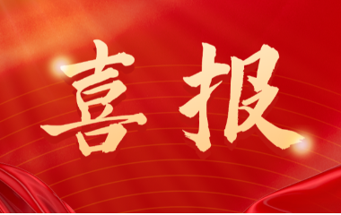 喜報！遠(yuǎn)東電纜（宜賓）胡清平榮登2025年第一批擬認(rèn)定主導(dǎo)產(chǎn)業(yè)企業(yè)人才名單