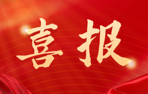 喜報(bào)！遠(yuǎn)東電纜（宜賓）胡清平榮登2025年第一批擬認(rèn)定主導(dǎo)產(chǎn)業(yè)企業(yè)人才名單